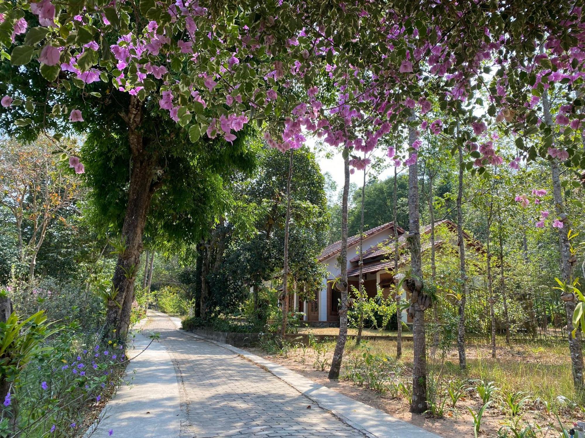 The Garden House Phu Quoc Resort Buitenkant foto